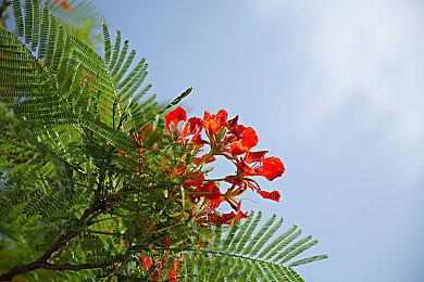 战地2042下载慢怎么办？免费加速提速下载方法分享